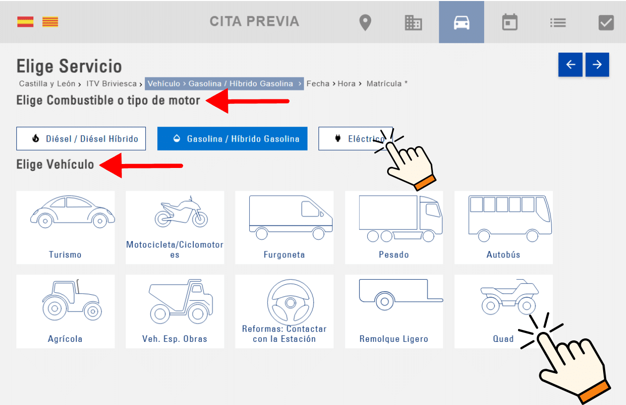 Descripción